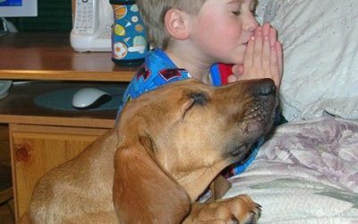 The Power of Prayer and When  Miracles Happen