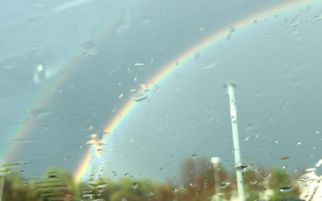 Join Me in the Zone of Plenty–This is the Way to Live!