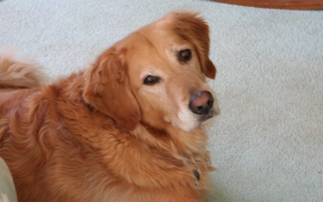 What You Need to Do (Finally) for Speedy Manifestations